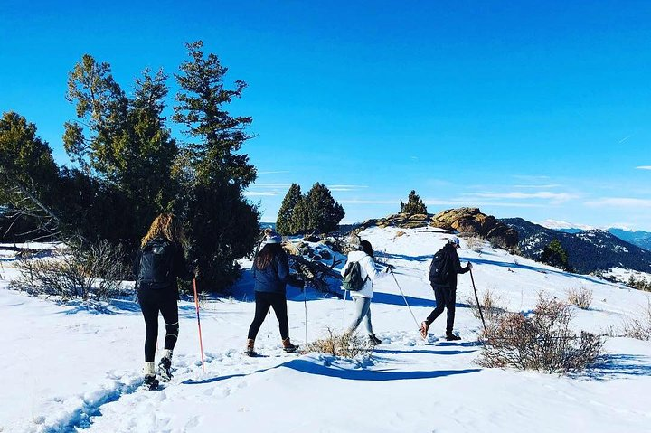 Group winter hike